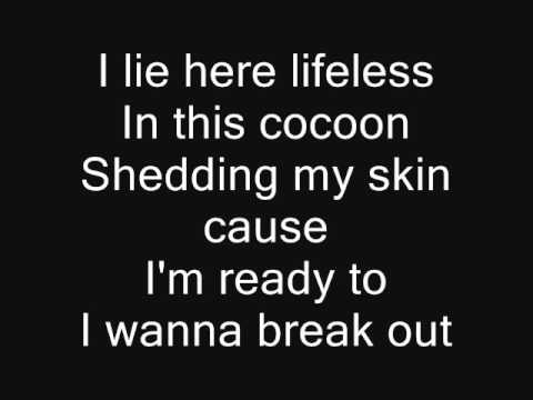 Skillet